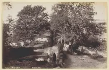 View near Wear Gifford, 1860/94. Creator: Francis Bedford