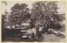 View near Wear Gifford, 1860/94. Creator: Francis Bedford