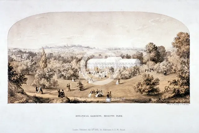 View of the Botanical Gardens in Regents Park, Marylebone, London, 1851. Artist: Anon