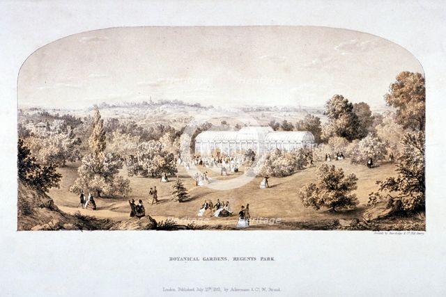 View of the Botanical Gardens in Regents Park, Marylebone, London, 1851. Artist: Anon