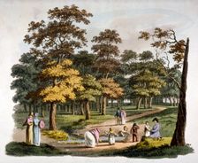 View of the dipping well in Hyde Park, Westminster, London, c1810. Artist: William Pickett