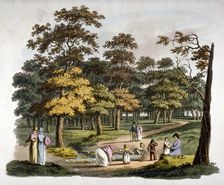 View of the dipping well in Hyde Park, Westminster, London, c1810. Artist: William Pickett