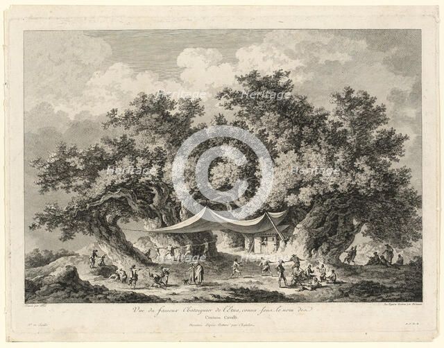 View of the Famous Chestnut Tree of Mount Etna, called Centum Cavalli, 1784/86. Creators: François Allix, H. G. Bertaux.