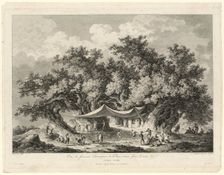 View of the Famous Chestnut Tree of Mount Etna, called Centum Cavalli, 1784/86. Creators: François Allix, H. G. Bertaux