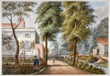 View of the Flora Tea Gardens, Bayswater, London, c1840. Artist: Anon