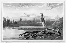 View of the Kamchatka River Kamchatka peninsula, 19th century. Creator: Friedrich Heinrich Kittlitz