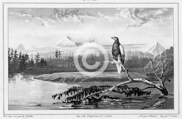 View of the Kamchatka River Kamchatka peninsula, 19th century. Creator: Friedrich Heinrich Kittlitz.