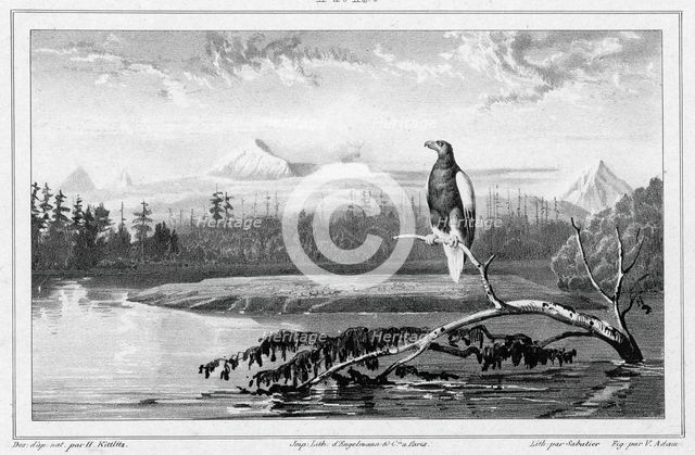 View of the Kamchatka River Kamchatka peninsula, 19th century. Creator: Friedrich Heinrich Kittlitz.