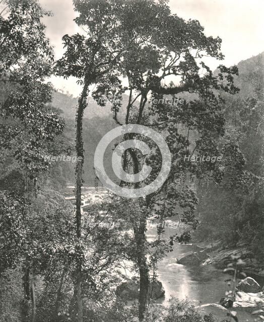 View of the Kelani River, Kurunegala, Ceylon, 1895. Creator: W & S Ltd.