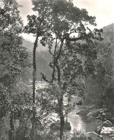 View of the Kelani River, Kurunegala, Ceylon, 1895. Creator: W & S Ltd
