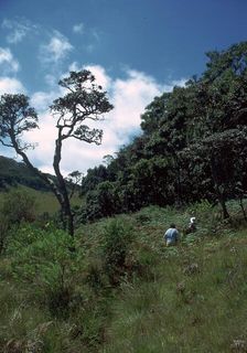 View of the Horton Plains nature reserve. Artist: CM Dixon