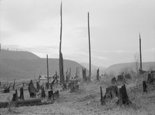 View of the Halley farm. Priest River Peninsula. Bonner County, Idaho, 1939. Creator: Dorothea Lange
