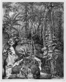 View of the Interior of Luzon Island, Philippine Islands, 19th century. Creators: Alexander Postels, Godefroy Engelmann