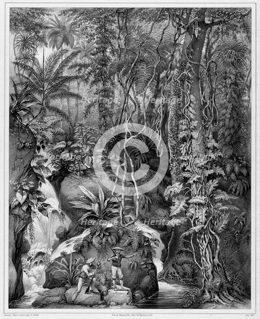 View of the Interior of Luzon Island, Philippine Islands, 19th century. Creators: Alexander Postels, Godefroy Engelmann.