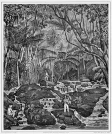 View of the Interior of Peel Island, Bonin Islands, 19th century. Creators: Alexander Postels, Victor Adam, Godefroy Engelmann