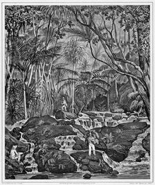 View of the Interior of Peel Island, Bonin Islands, 19th century. Creators: Alexander Postels, Victor Adam, Godefroy Engelmann