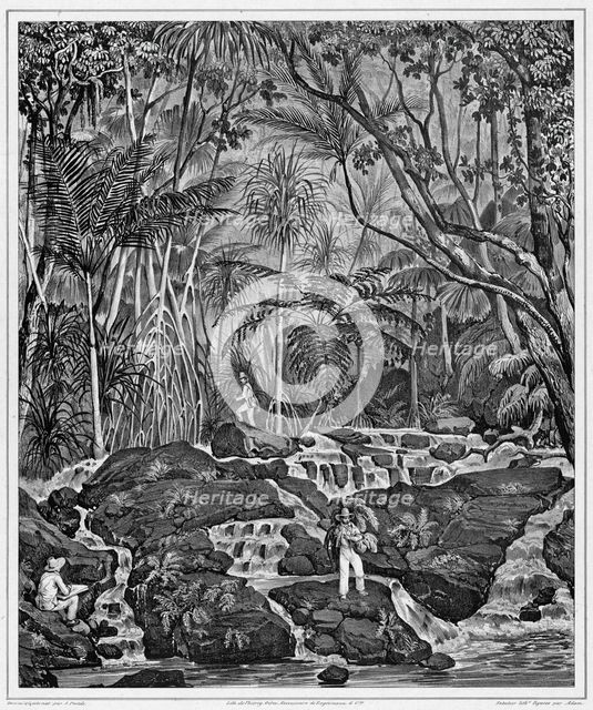 View of the Interior of Peel Island, Bonin Islands, 19th century. Creators: Alexander Postels, Victor Adam, Godefroy Engelmann.