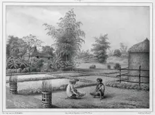 View of the Interior, Luzon Island, Philippines, 19th century. Creators: Friedrich Heinrich Kittlitz, Victor Adam, Godefroy Engelmann