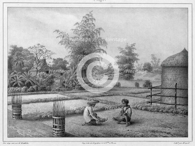 View of the Interior, Luzon Island, Philippines, 19th century. Creators: Friedrich Heinrich Kittlitz, Victor Adam, Godefroy Engelmann.