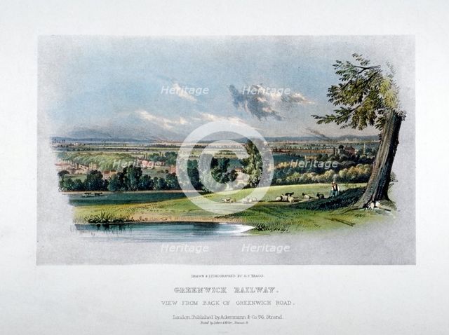 View of the London and Greenwich Railway from the  back of Greenwich Road, 1836. Artist: GF Bragg