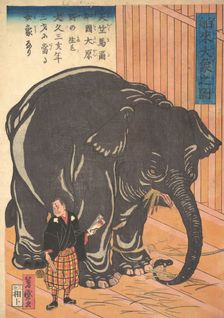 View of the Large Imported Elephant, 1863 (Bunkyo 3, 4th month). Creator: Taguchi Yoshimori
