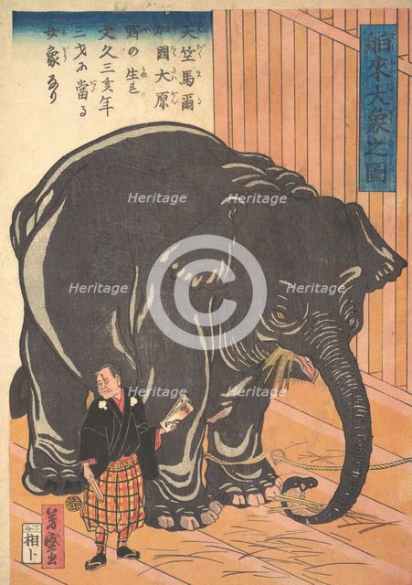 View of the Large Imported Elephant, 1863 (Bunkyo 3, 4th month). Creator: Taguchi Yoshimori.