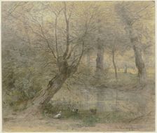 View of the Nied near Brentano's Park in Rödelheim, with ducks Animated, 19th century. Creator: Philipp Rumpf