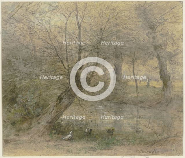 View of the Nied near Brentano's Park in Rödelheim, with ducks Animated, 19th century. Creator: Philipp Rumpf.