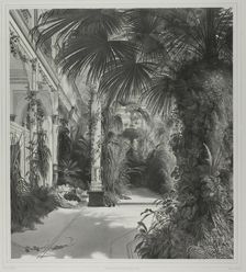 View of the Palm House on the Peacock-Island, c. 1844. Creator: Friedrich Julius Tempeltey