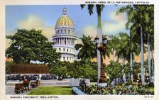 View of the park and Fraternity Tree in front of the Capitol building, Havana, Cuba, 1940