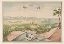 View of the Pepper Plantation in the Baygam Area, c.1750. Creator: Anon