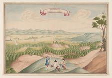 View of the Pepper Plantation in the Baygam Area, c.1750. Creator: Anon