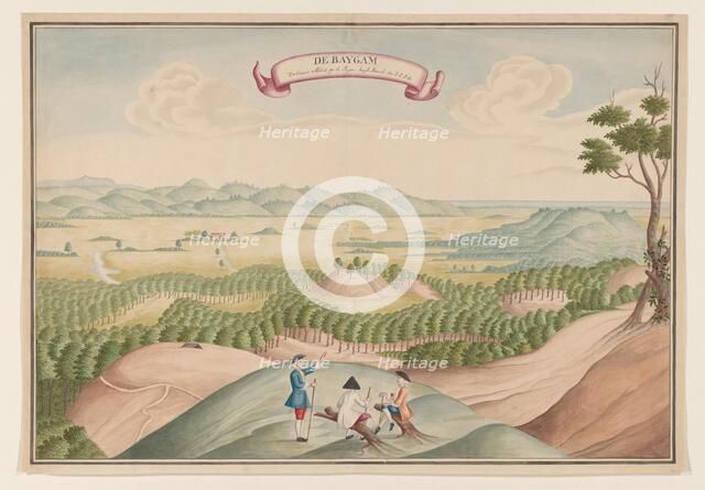 View of the Pepper Plantation in the Baygam Area, c.1750. Creator: Anon.