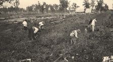 View of the road construction near the village of Practichi, 1909. Creator: Vladimir Ivanovich Fedorov