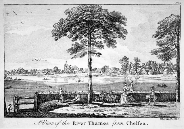 View of the River Thames from Chelsea, London, 1750.                                                 Artist: Charles White
