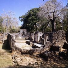 View of the ruins of Gede, with the remains of an ancient Swahili site, in Malindi, Kenya