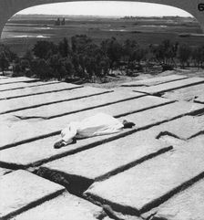View of Thebes and the colossi of Memnon, as seen from the Ramesseum, Egypt 1905.Artist: Underwood & Underwood