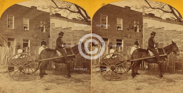 View of a man in mule cart in front of a home, 1875. Creator: Unknown.