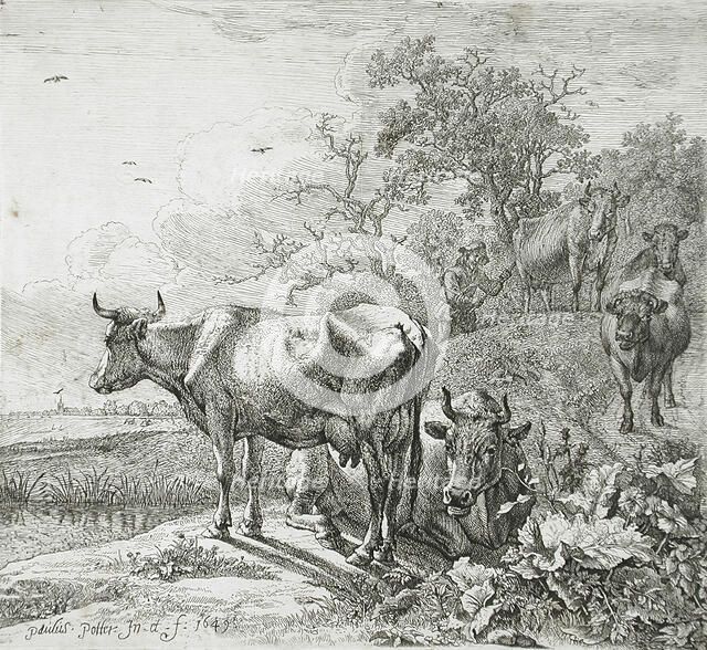 View of a Meadow, 1649. Creator: Paulus Potter.