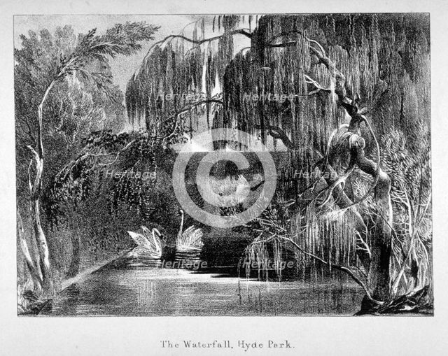 View of a waterfall and two swans in Hyde Park, London, c1820.                                       Artist: Anon