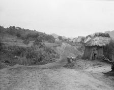 View of Ainu village, 1908. Creator: Arnold Genthe