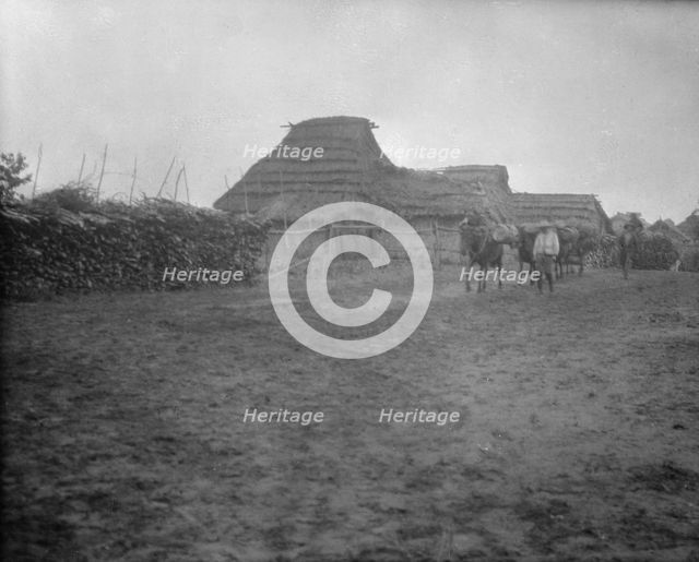 View of Ainu village, 1908. Creator: Arnold Genthe.