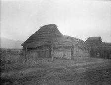 View of Ainu village, 1908. Creator: Arnold Genthe