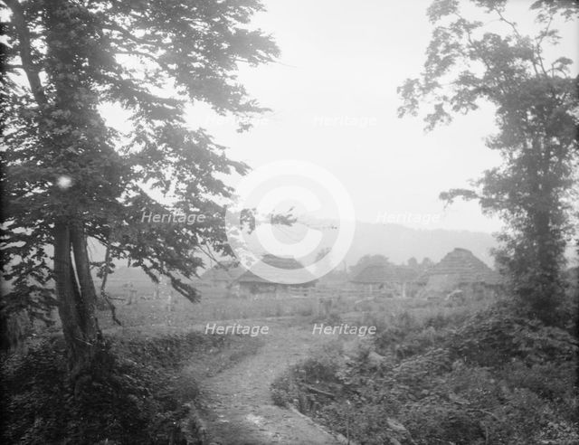 View of Ainu village beyond trees, 1908. Creator: Arnold Genthe.