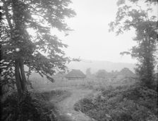 View of Ainu village beyond trees, 1908. Creator: Arnold Genthe