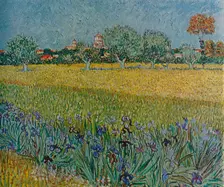 View of Ales with Irises in Bloom 1888. Artist: Vincent van Gogh
