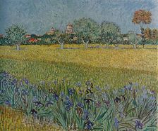 View of Ales with Irises in Bloom 1888. Artist: Vincent van Gogh