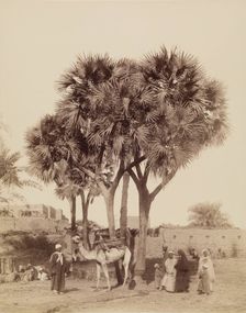 View of an Egyptian Village, 19th century. Creator: Anon