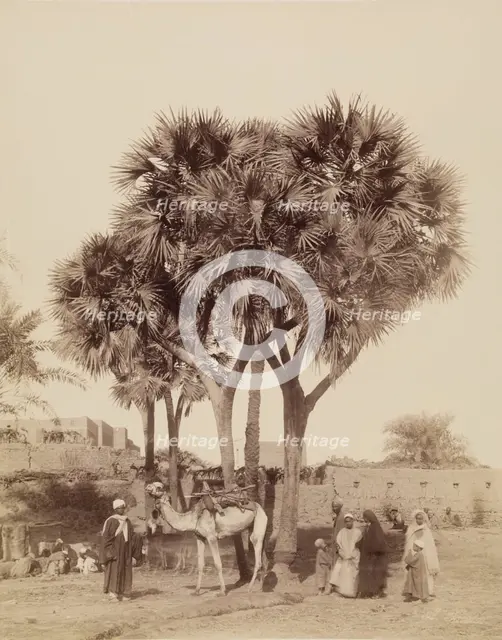 View of an Egyptian Village, 19th century. Creator: Anon.