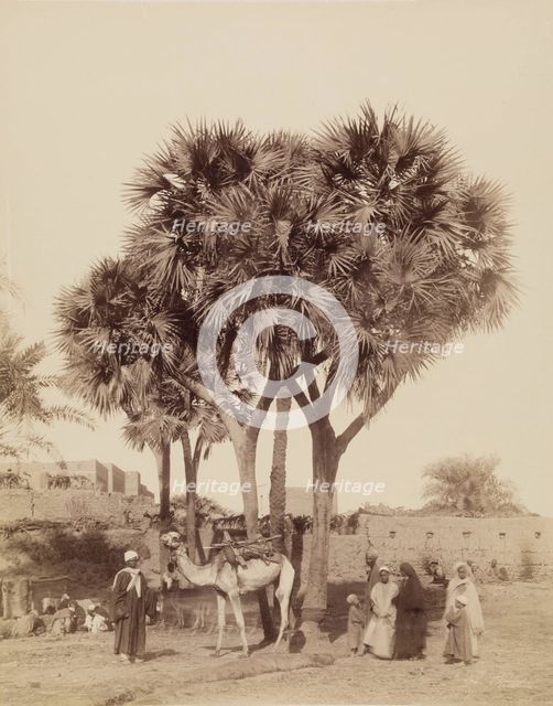 View of an Egyptian Village, 19th century. Creator: Anon.